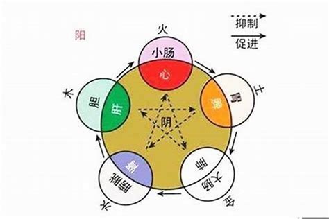 綾五行|綾字的五行属性